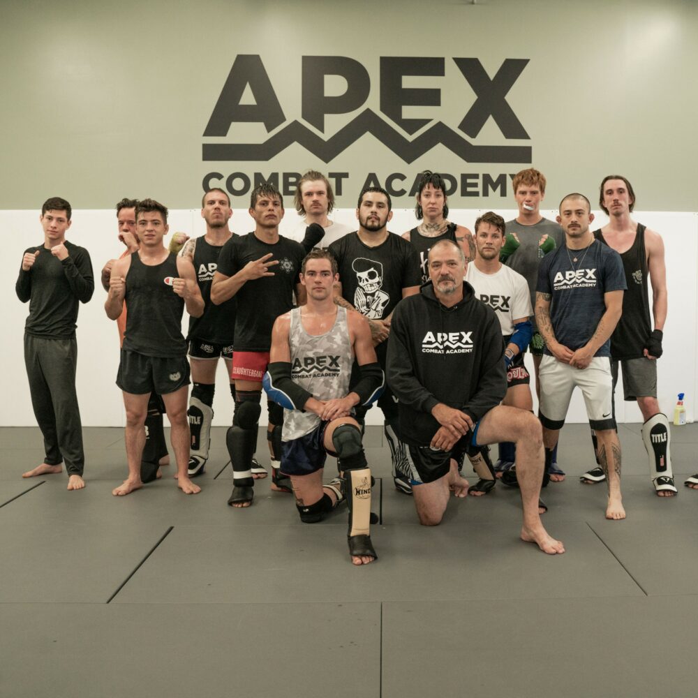 Apex Combat Academy Tale of Apex Combat Academy